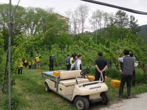 경찰수사연수원, 포천 일동면 기산8리 1촌1사 농촌봉사활동