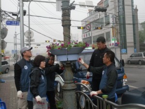 포천동 주민자치위원회, 페추니아 식재
