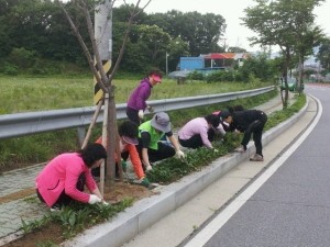 포천동자연보호협의회, 깨끗한 가로환경 정비사업 전개
