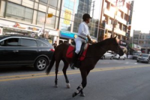 시민기자가 간다! 2011 포천사랑 Festival