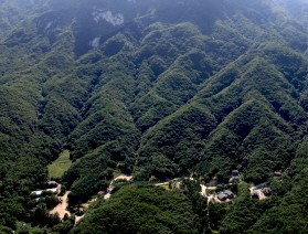 2010 춘기 소나무재선충병 항공예찰 실시 예정