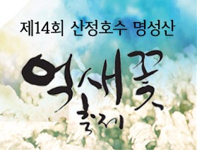 억새밭으로 떠나는 가을 여행~