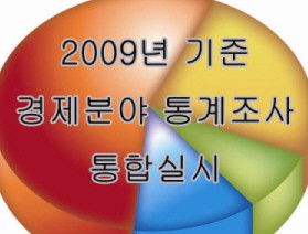 2009년 기준 경제분야 통계조사 통합실시