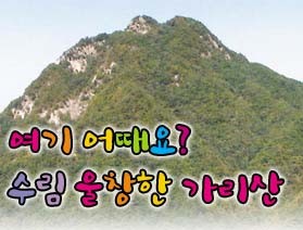 여기 어때요? - 가리산