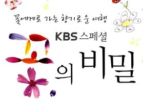 사서와 함께 행복한 책읽기-꽃의 비밀