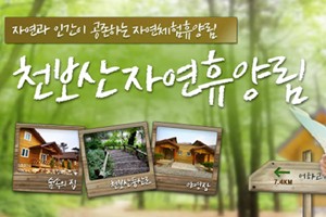 천보산 자연휴양림